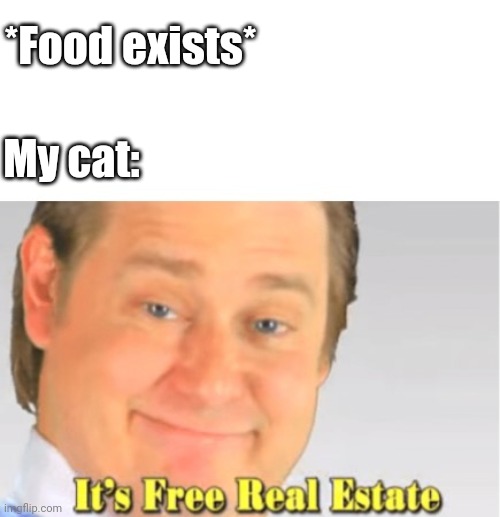 It's Free Real Estate | *Food exists*; My cat: | image tagged in it's free real estate | made w/ Imgflip meme maker