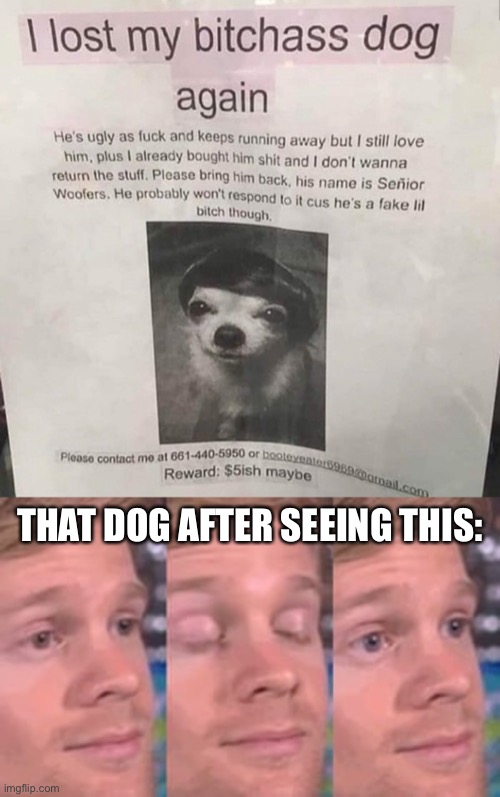 Title | THAT DOG AFTER SEEING THIS: | image tagged in white guy blink | made w/ Imgflip meme maker