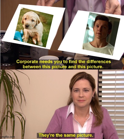 They're The Same Picture Meme | image tagged in memes,they're the same picture,peter parker cry | made w/ Imgflip meme maker