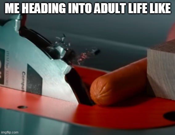me_irl | ME HEADING INTO ADULT LIFE LIKE | image tagged in invincible hotdog | made w/ Imgflip meme maker