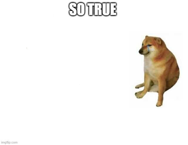 Buff Doge vs. Cheems Meme | SO TRUE | image tagged in strong doge weak doge | made w/ Imgflip meme maker