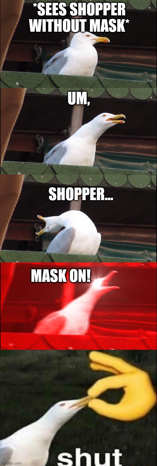 *SEES SHOPPER WITHOUT MASK*; UM, SHOPPER... MASK ON! | image tagged in memes,inhaling seagull,shut | made w/ Imgflip meme maker