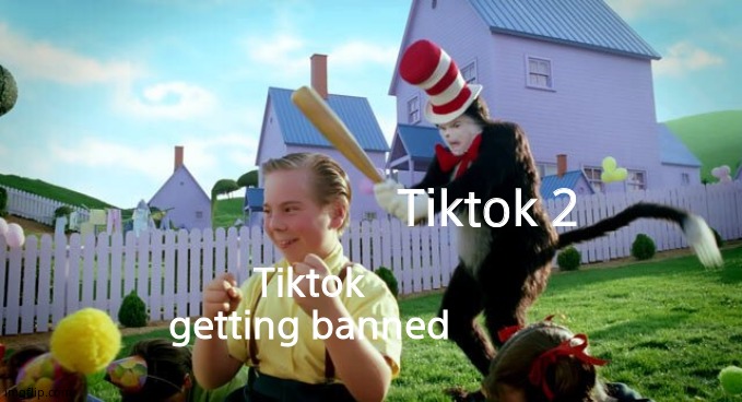Cat & The Hat | Tiktok 2; Tiktok getting banned | image tagged in cat  the hat | made w/ Imgflip meme maker