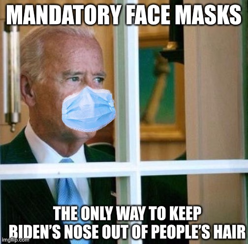 The Real Conspiracy Behind Covid-19 | MANDATORY FACE MASKS THE ONLY WAY TO KEEP BIDEN’S NOSE OUT OF PEOPLE’S HAIR | image tagged in sad joe biden,covid-19,face mask | made w/ Imgflip meme maker
