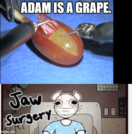 Anyone see a connection? | ADAM IS A GRAPE. | image tagged in grape,surgery,adam,somethingelseyt,connection | made w/ Imgflip meme maker