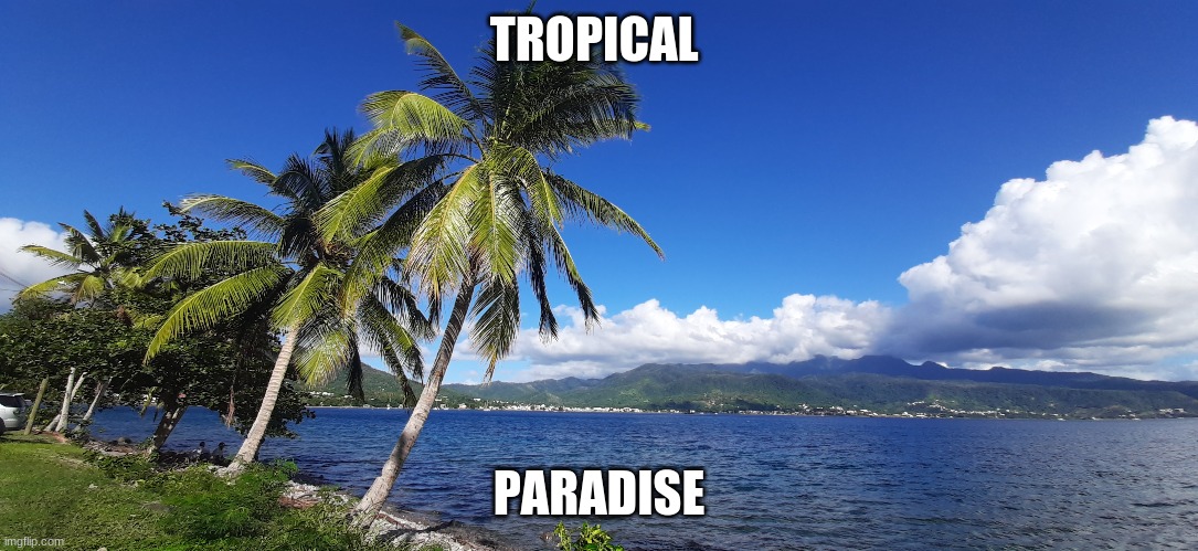 Nature | TROPICAL; PARADISE | image tagged in island | made w/ Imgflip meme maker