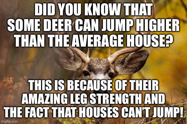 It’s the truth | DID YOU KNOW THAT SOME DEER CAN JUMP HIGHER THAN THE AVERAGE HOUSE? THIS IS BECAUSE OF THEIR AMAZING LEG STRENGTH AND THE FACT THAT HOUSES CAN’T JUMP! | image tagged in deer meme | made w/ Imgflip meme maker