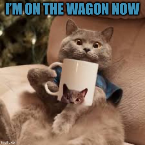 I’M ON THE WAGON NOW | made w/ Imgflip meme maker