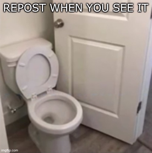 Repost when you see the problem. | REPOST WHEN YOU SEE IT | image tagged in toilet door,toilet | made w/ Imgflip meme maker