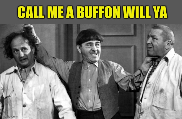 Three Stooges | CALL ME A BUFFON WILL YA | image tagged in three stooges | made w/ Imgflip meme maker