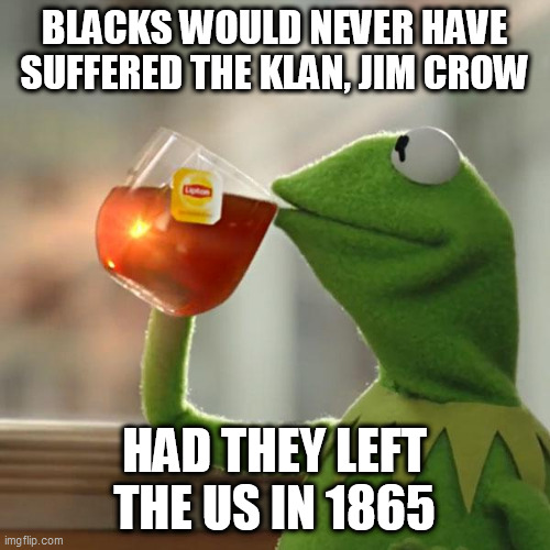 But That's None Of My Business Meme | BLACKS WOULD NEVER HAVE  SUFFERED THE KLAN, JIM CROW; HAD THEY LEFT THE US IN 1865 | image tagged in memes,but that's none of my business,kermit the frog | made w/ Imgflip meme maker