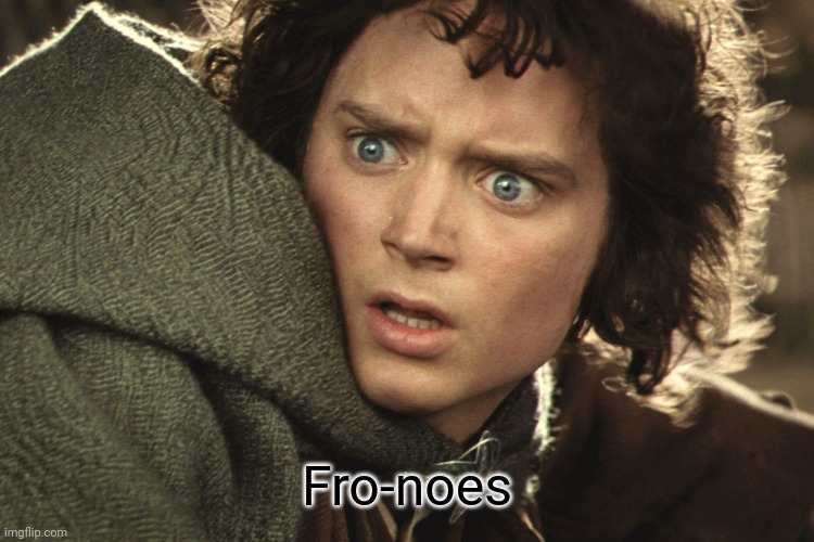 Oh noes | Fro-noes | image tagged in memes,frodo | made w/ Imgflip meme maker