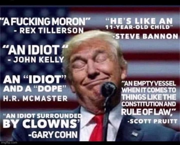 Trump is a moron. But don’t take it from me. Take it from these Republicans: An incomplete list w/o Bolton, Mattis, Powell etc. | image tagged in republicans,trump is a moron,donald trump is an idiot,gop,donald trump is an orangutan,repost | made w/ Imgflip meme maker