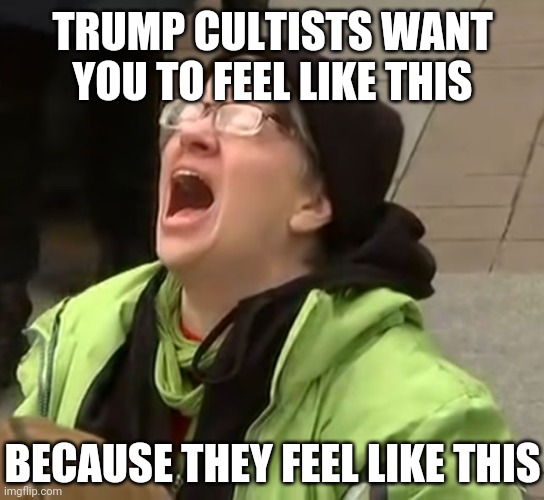 snowflake | TRUMP CULTISTS WANT YOU TO FEEL LIKE THIS BECAUSE THEY FEEL LIKE THIS | image tagged in snowflake | made w/ Imgflip meme maker