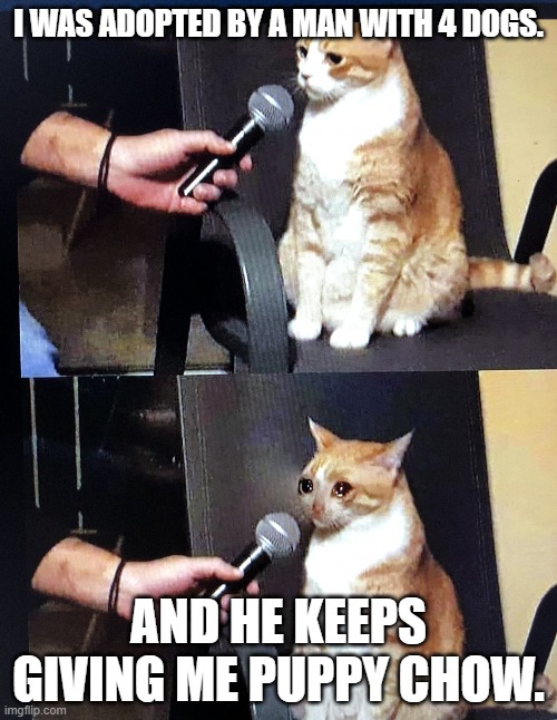 Cat interview crying | I WAS ADOPTED BY A MAN WITH 4 DOGS. AND HE KEEPS GIVING ME PUPPY CHOW. | image tagged in cat interview crying | made w/ Imgflip meme maker