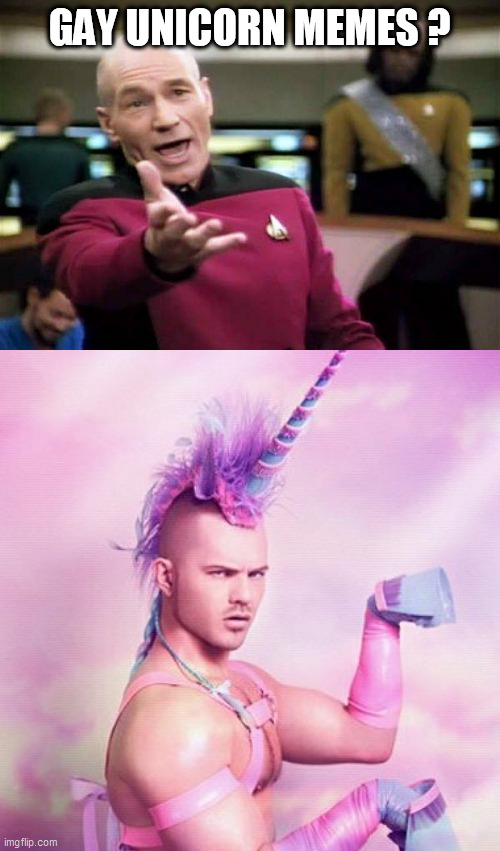 GAY UNICORN MEMES ? | image tagged in memes,unicorn man,picard wtf | made w/ Imgflip meme maker