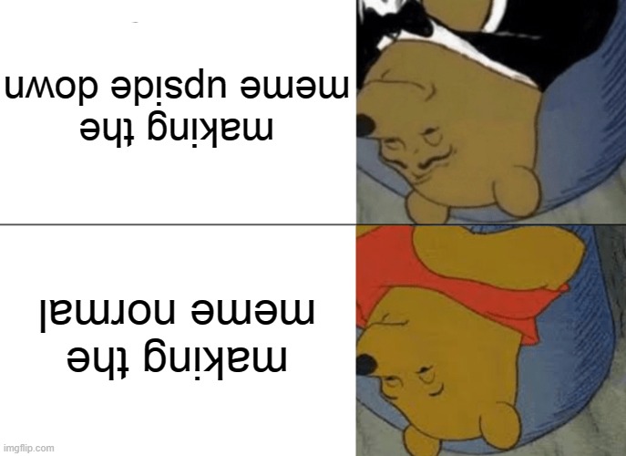 if you can't read the text look at the description | making the meme upside down; making the meme normal | image tagged in memes,tuxedo winnie the pooh | made w/ Imgflip meme maker