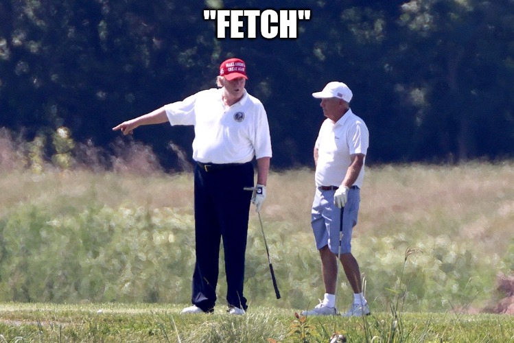 Fetch | "FETCH" | image tagged in donald trump,lindsey graham,trump golf | made w/ Imgflip meme maker