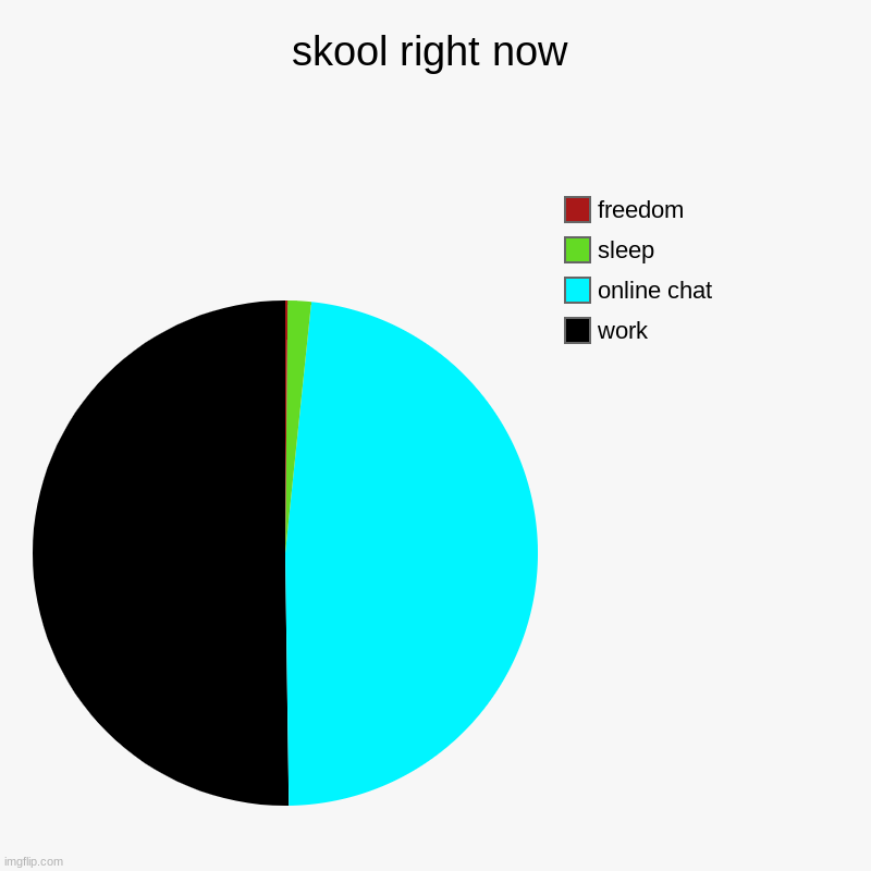 this is literally school in 2020 | skool right now | work, online chat, sleep, freedom | image tagged in charts,pie charts | made w/ Imgflip chart maker