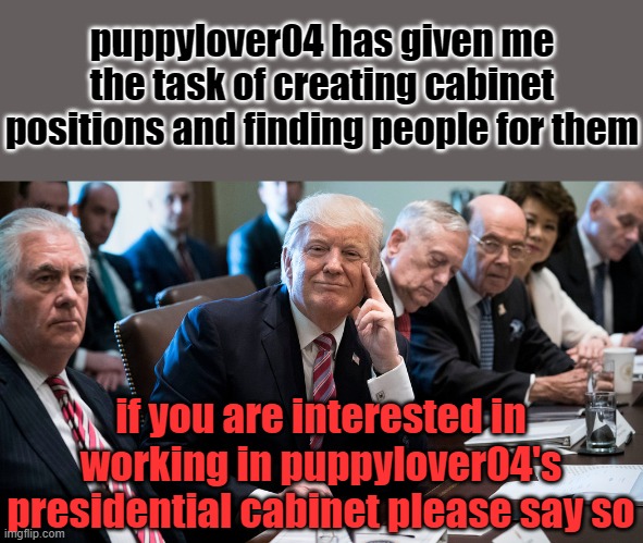 I'm assembling puppylover04's cabinet | puppylover04 has given me the task of creating cabinet positions and finding people for them; if you are interested in working in puppylover04's presidential cabinet please say so | image tagged in trump cabinet | made w/ Imgflip meme maker