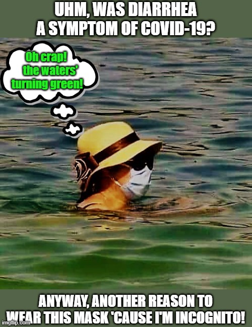 Day at the beach with covid-19 | UHM, WAS DIARRHEA A SYMPTOM OF COVID-19? Oh crap!       the waters'   turning green! ANYWAY, ANOTHER REASON TO WEAR THIS MASK 'CAUSE I'M INCOGNITO! | image tagged in multipurpose mask,covid-19,diarrhea,mask,beach,green | made w/ Imgflip meme maker