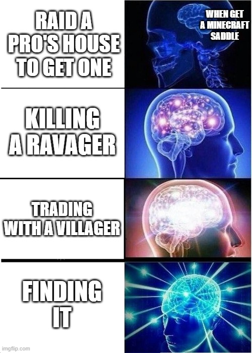 Expanding Brain | WHEN GET A MINECRAFT SADDLE; RAID A PRO'S HOUSE TO GET ONE; KILLING A RAVAGER; TRADING WITH A VILLAGER; FINDING IT | image tagged in memes,expanding brain | made w/ Imgflip meme maker