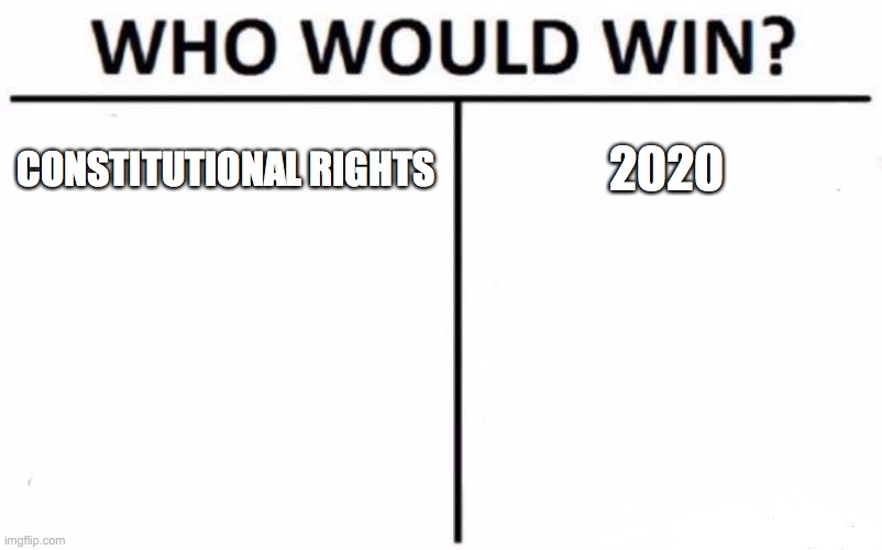 Who Would Win? Meme | CONSTITUTIONAL RIGHTS 2020 | image tagged in memes,who would win | made w/ Imgflip meme maker