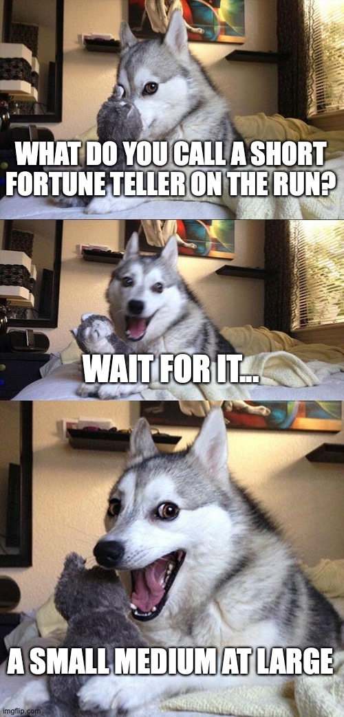 Bad Pun Dog | WHAT DO YOU CALL A SHORT FORTUNE TELLER ON THE RUN? WAIT FOR IT... A SMALL MEDIUM AT LARGE | image tagged in memes,lol,super punny,read the tags,the tags are usually funny,not this time | made w/ Imgflip meme maker