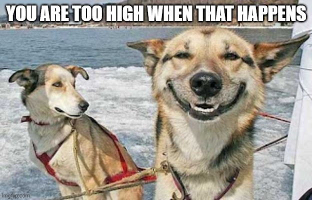 Original Stoner Dog Meme | YOU ARE TOO HIGH WHEN THAT HAPPENS | image tagged in memes,original stoner dog | made w/ Imgflip meme maker