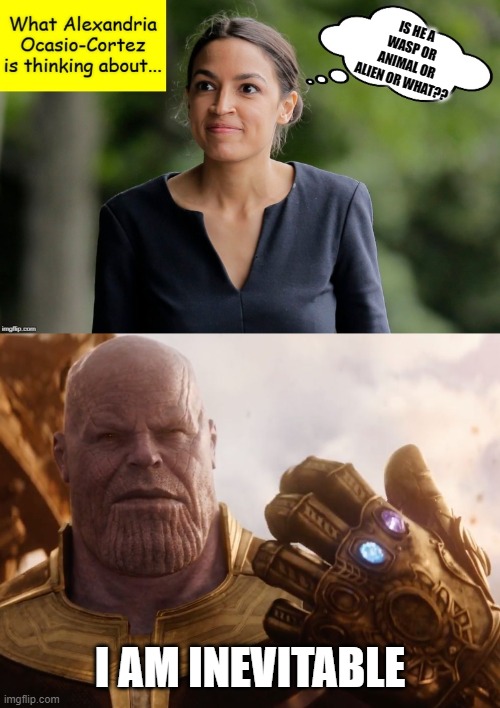 IS HE A WASP OR ANIMAL OR ALIEN OR WHAT?? I AM INEVITABLE | image tagged in thanos smile,what alexandria ocasio-cortez is thinking about | made w/ Imgflip meme maker