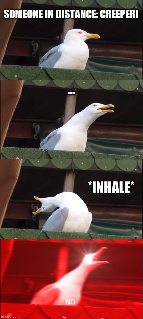 Inhaling Seagull | SOMEONE IN DISTANCE: CREEPER! ... *INHALE*; NO. | image tagged in memes,inhaling seagull | made w/ Imgflip meme maker