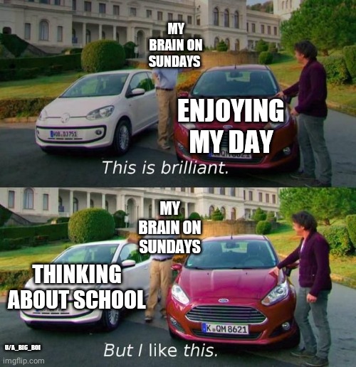 This Is Brilliant But I Like This | MY BRAIN ON SUNDAYS; ENJOYING MY DAY; MY BRAIN ON SUNDAYS; THINKING ABOUT SCHOOL; U/A_BIC_BOI | image tagged in this is brilliant but i like this | made w/ Imgflip meme maker