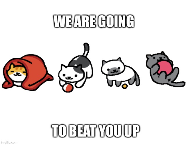 We are going to beat you up | WE ARE GOING; TO BEAT YOU UP | image tagged in memes,meme,cat,cats | made w/ Imgflip meme maker