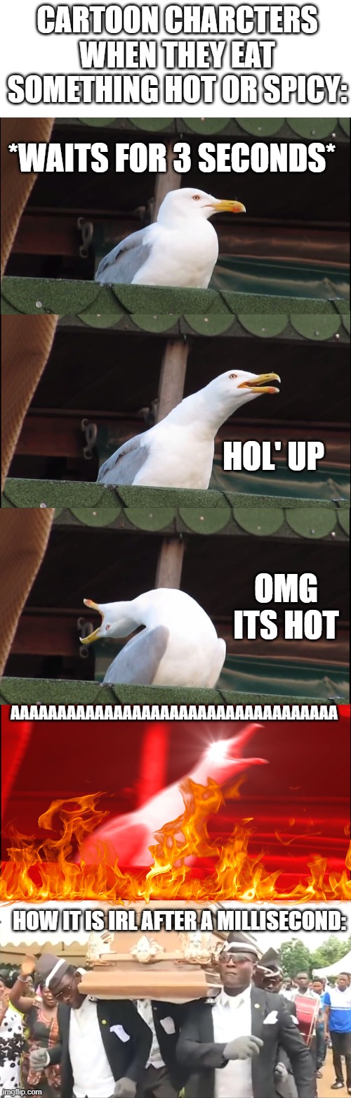 CARTOON CHARCTERS WHEN THEY EAT SOMETHING HOT OR SPICY:; *WAITS FOR 3 SECONDS*; HOL' UP; OMG ITS HOT; AAAAAAAAAAAAAAAAAAAAAAAAAAAAAAAAAAA; HOW IT IS IRL AFTER A MILLISECOND: | image tagged in memes,inhaling seagull,coffin dance | made w/ Imgflip meme maker