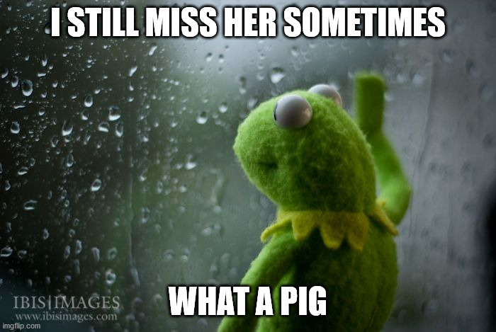 kermit window | I STILL MISS HER SOMETIMES; WHAT A PIG | image tagged in kermit window | made w/ Imgflip meme maker