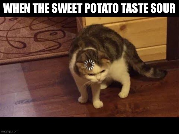 This Happened IRL | WHEN THE SWEET POTATO TASTE SOUR | image tagged in funny | made w/ Imgflip meme maker
