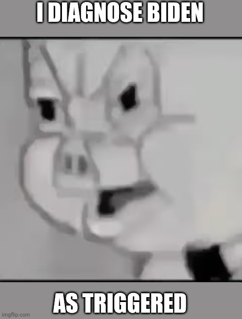 Porky Pig Triggerd | I DIAGNOSE BIDEN AS TRIGGERED | image tagged in porky pig triggerd | made w/ Imgflip meme maker