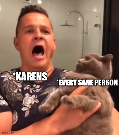 *EVERY SANE PERSON; *KARENS | image tagged in memes | made w/ Imgflip meme maker