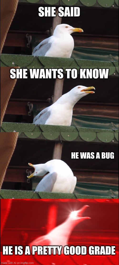 Inhaling Seagull Meme | SHE SAID; SHE WANTS TO KNOW; HE WAS A BUG; HE IS A PRETTY GOOD GRADE | image tagged in memes,inhaling seagull | made w/ Imgflip meme maker