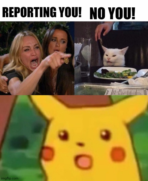 REPORTING YOU! NO YOU! | image tagged in memes,surprised pikachu,woman yelling at cat | made w/ Imgflip meme maker