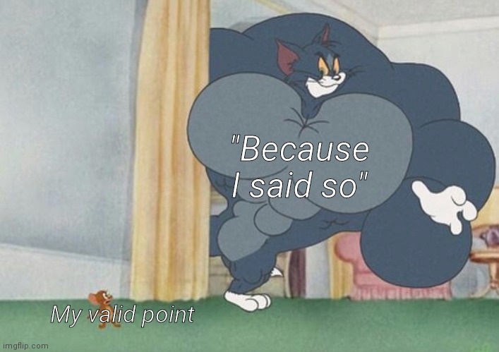 tom and jerry | "Because I said so"; My valid point | image tagged in tom and jerry | made w/ Imgflip meme maker