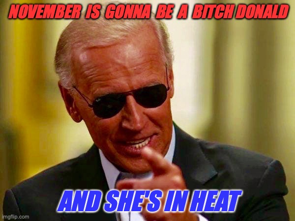 NOVEMBER  IS  GONNA  BE  A  BITCH DONALD; AND SHE'S IN HEAT | image tagged in election 2020 | made w/ Imgflip meme maker