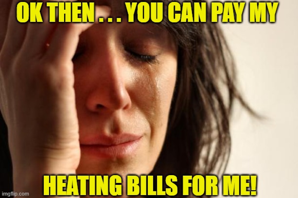 First World Problems Meme | OK THEN . . . YOU CAN PAY MY HEATING BILLS FOR ME! | image tagged in memes,first world problems | made w/ Imgflip meme maker