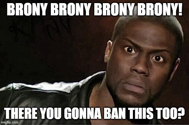 Kevin Hart | BRONY BRONY BRONY BRONY! THERE YOU GONNA BAN THIS TOO? | image tagged in memes,kevin hart | made w/ Imgflip meme maker