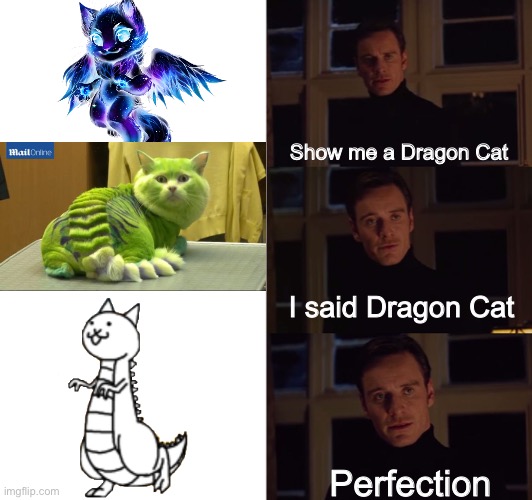 perfection | Show me a Dragon Cat; I said Dragon Cat; Perfection | image tagged in perfection,memes,funny,dragon,cats,reference | made w/ Imgflip meme maker