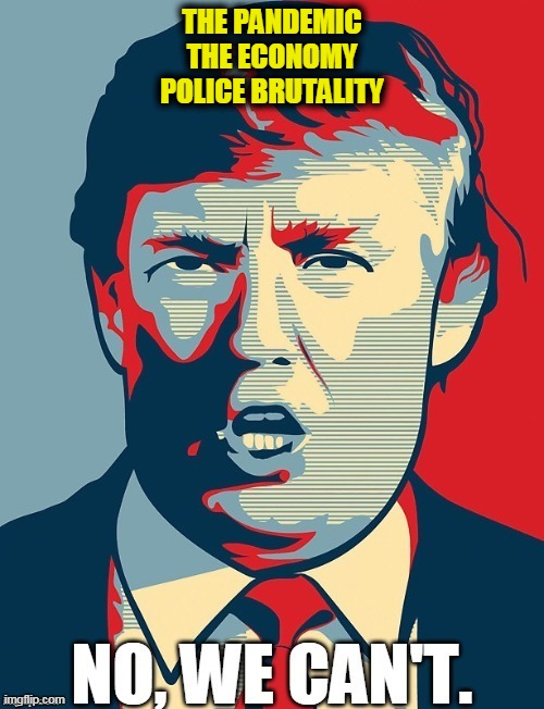 Since he obviously can't, let's get in somebody who can. | THE PANDEMIC
THE ECONOMY
POLICE BRUTALITY | image tagged in economy,pandemic,police brutality,trump,incompetence | made w/ Imgflip meme maker