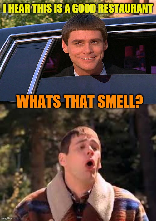 I HEAR THIS IS A GOOD RESTAURANT WHATS THAT SMELL? | image tagged in lloyd christmas limo,gag jim carrey | made w/ Imgflip meme maker