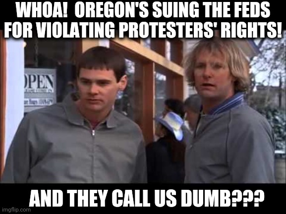 I'm sorry. I wasn't aware that destroying property and pulling down statues that don't belong to them is their right! SMH | WHOA!  OREGON'S SUING THE FEDS FOR VIOLATING PROTESTERS' RIGHTS! AND THEY CALL US DUMB??? | image tagged in dumb and dumber | made w/ Imgflip meme maker