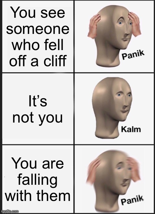 -_- | You see someone who fell off a cliff; It’s not you; You are falling with them | image tagged in memes,panik kalm panik | made w/ Imgflip meme maker