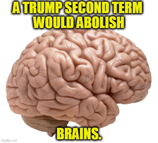 Idiocracy, Here We Come! | A TRUMP SECOND TERM 
WOULD ABOLISH; BRAINS. | image tagged in trump,election 2020,brain dead | made w/ Imgflip meme maker